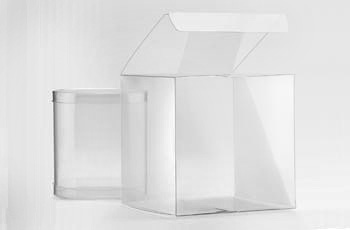 Packqueen-Background-Image-SMALL3