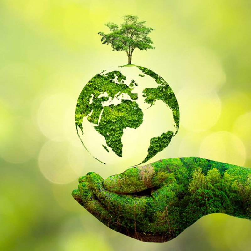 Sustainable Packaging in Australia