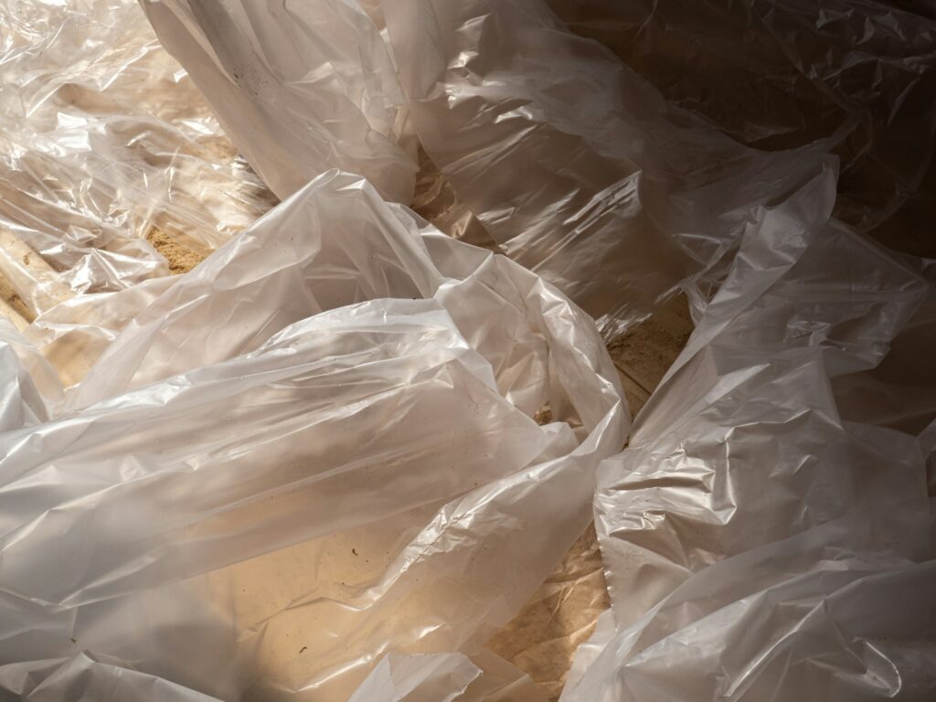 Transparent Packaging
